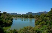 Εικόνα άρθρου
